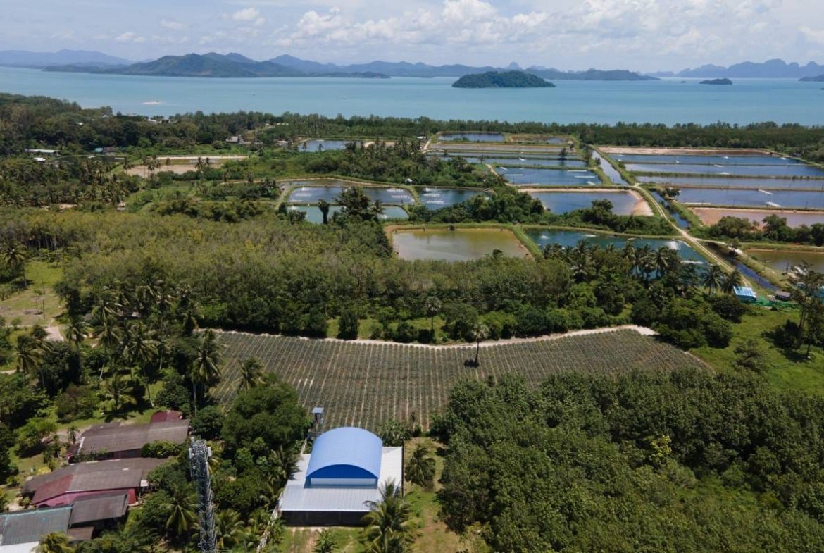 Captivating Land for Sale in Baan Para, Paklok