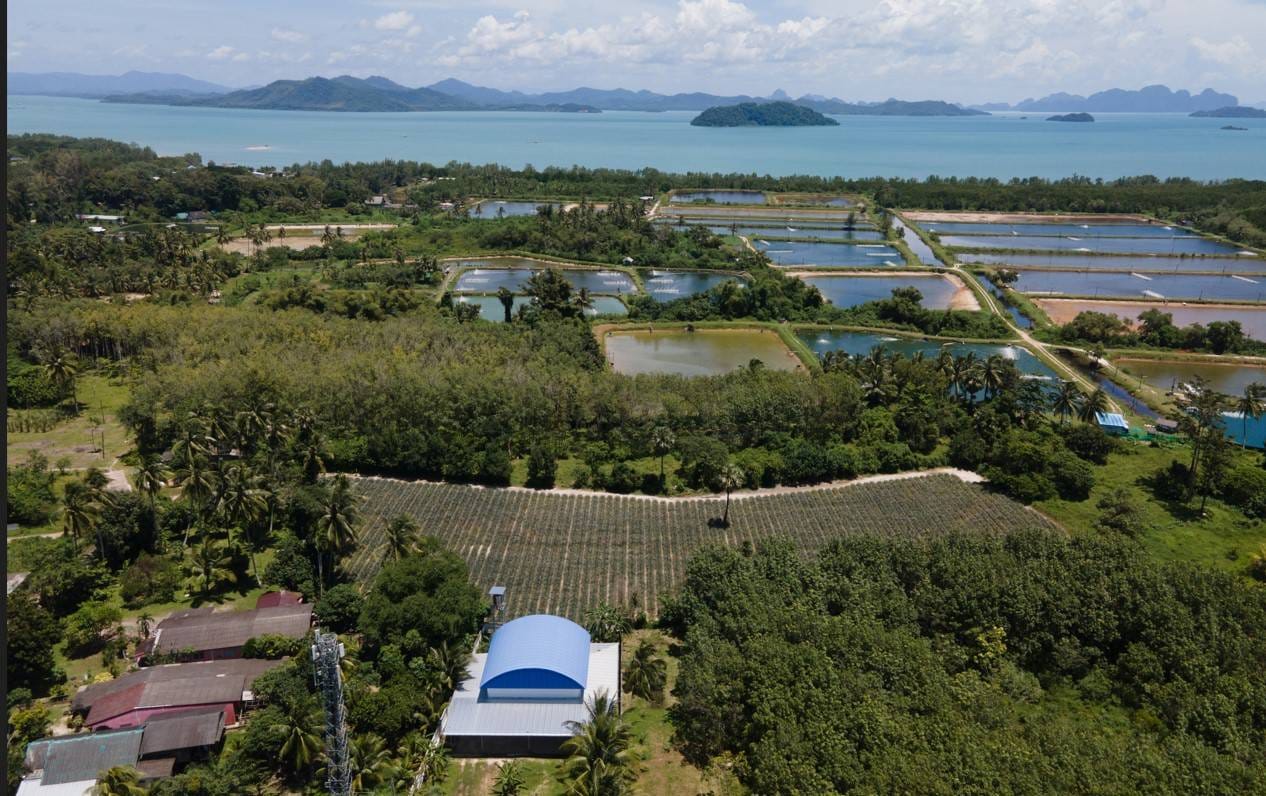Captivating Land for Sale in Baan Para, Paklok 1 Captivating Land for Sale in Baan Para, Paklok