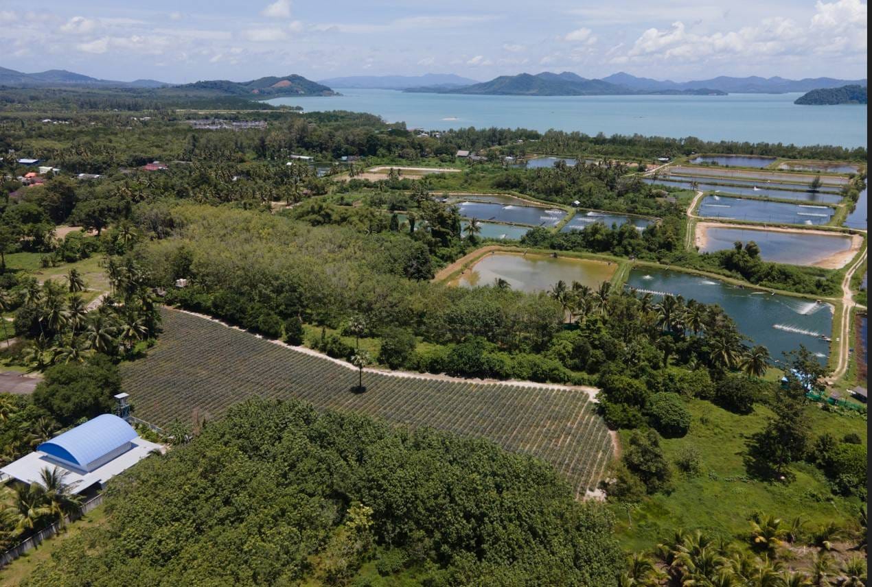 Captivating Land for Sale in Baan Para, Paklok 2 Captivating Land for Sale in Baan Para, Paklok