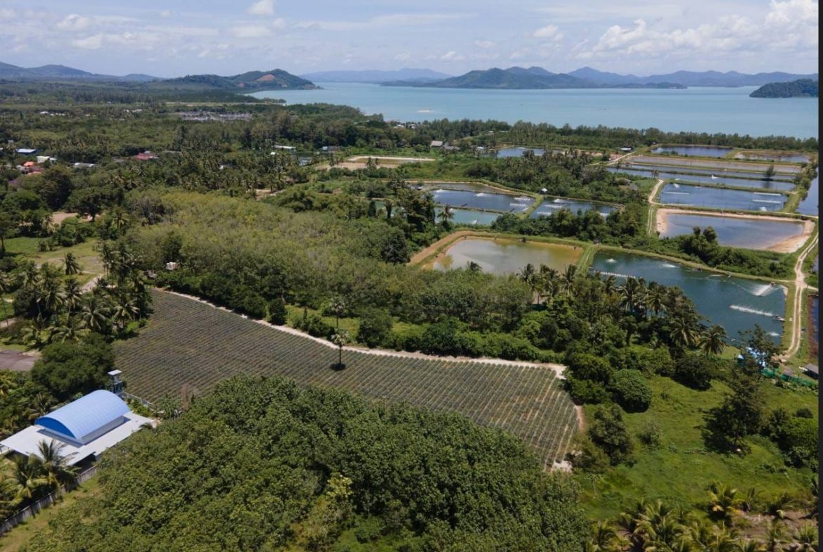 Captivating Land for Sale in Baan Para, Paklok