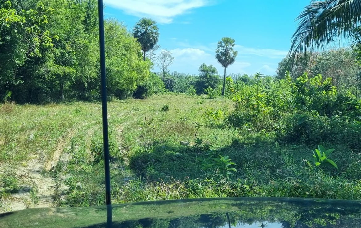 Captivating Land for Sale in Baan Para, Paklok