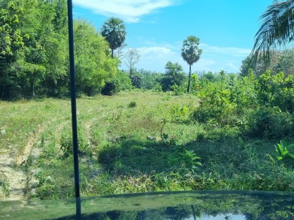 Captivating Land for Sale in Baan Para, Paklok