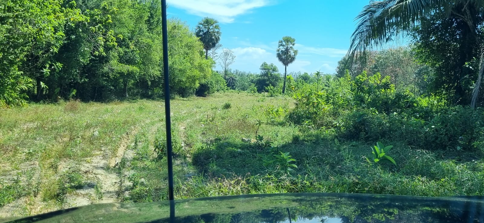 Captivating Land for Sale in Baan Para, Paklok 3 Captivating Land for Sale in Baan Para, Paklok