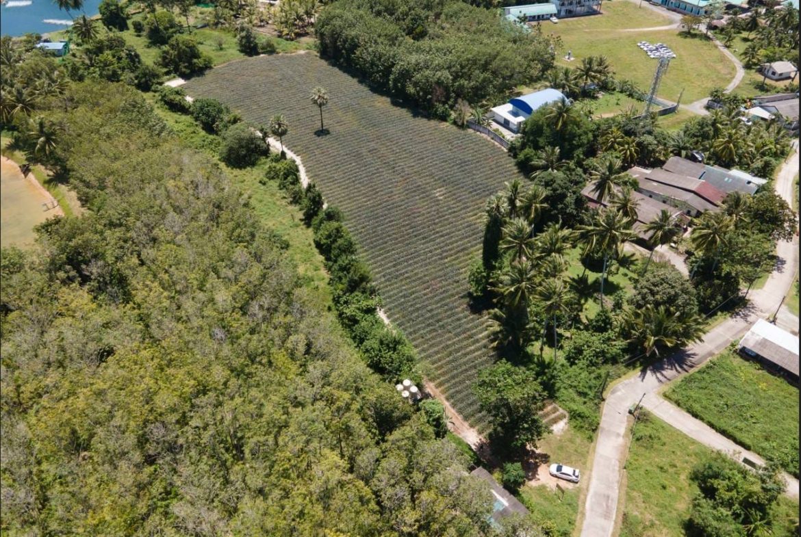 Captivating Land for Sale in Baan Para, Paklok