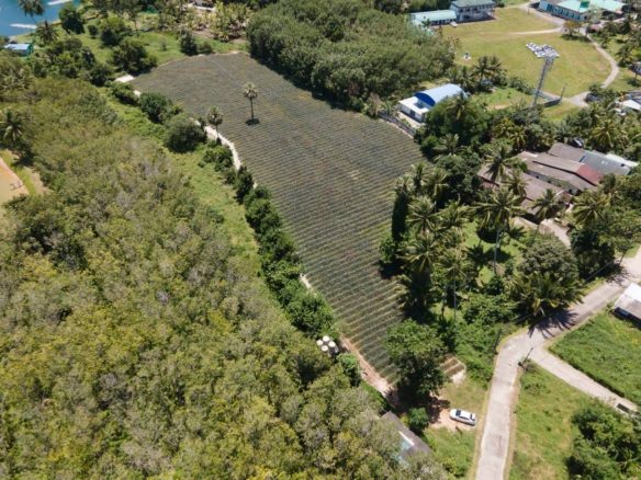 Captivating Land for Sale in Baan Para, Paklok