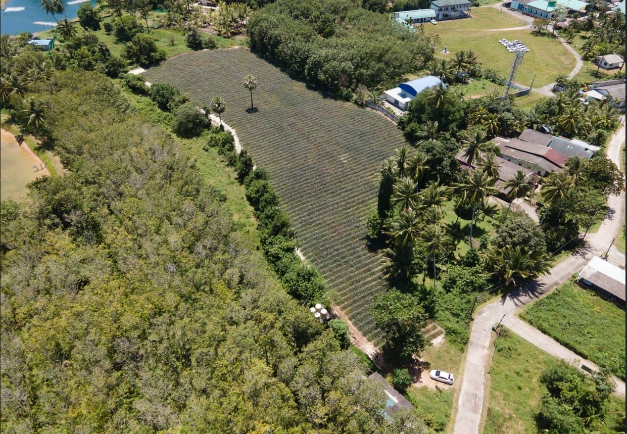Captivating Land for Sale in Baan Para, Paklok 6 Captivating Land for Sale in Baan Para, Paklok